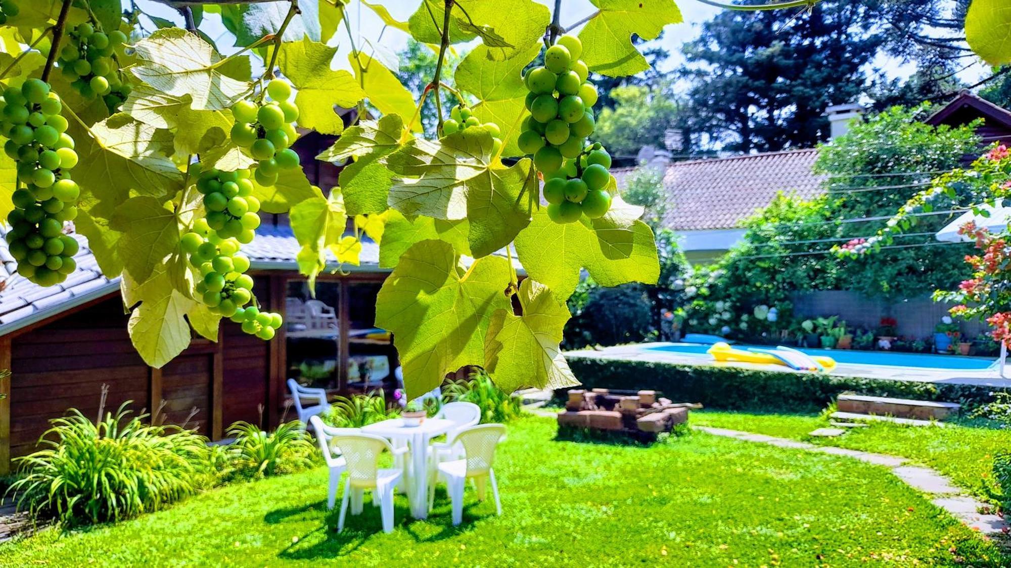 Chale Martinho Villa Gramado Eksteriør billede