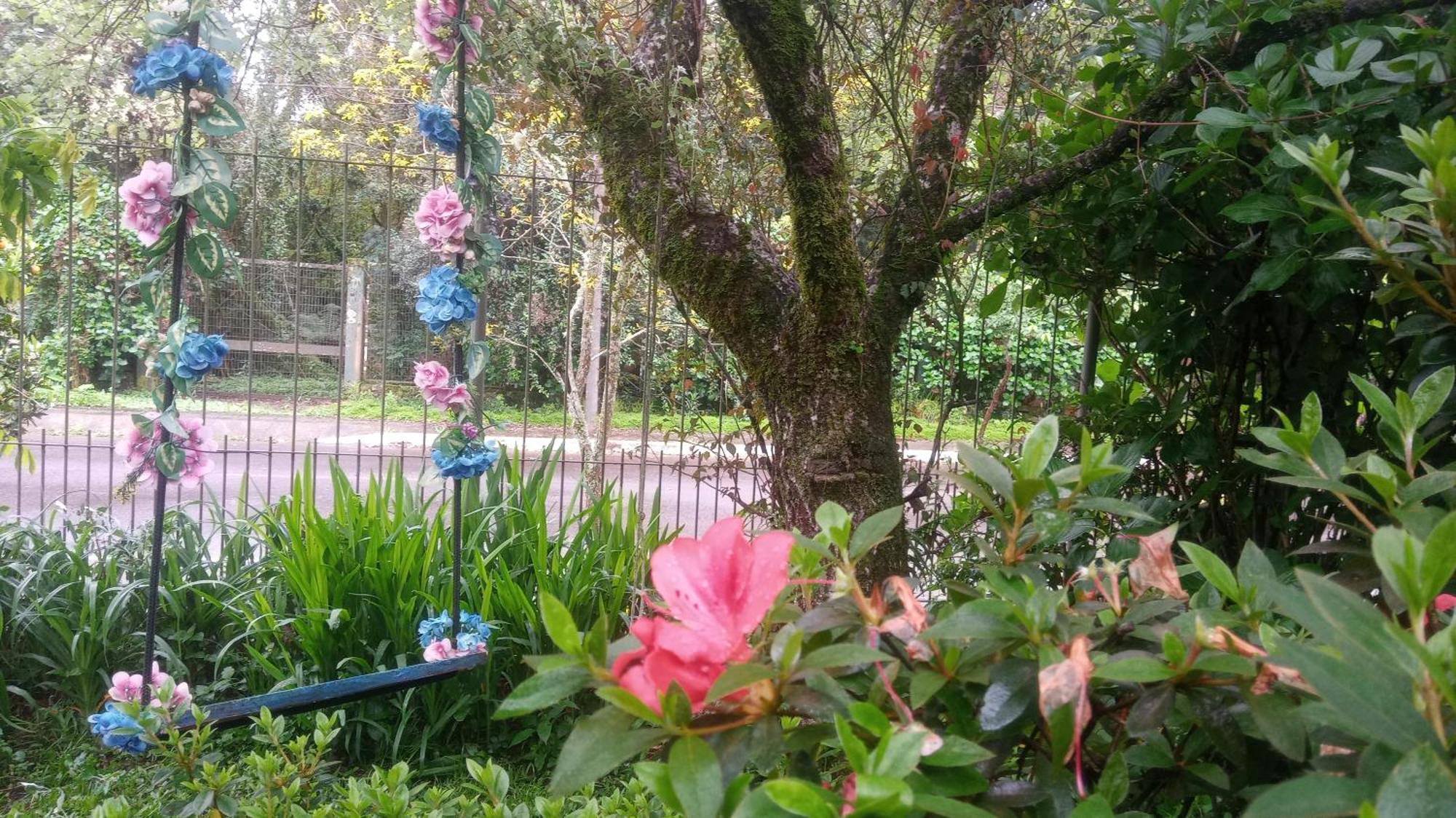 Chale Martinho Villa Gramado Eksteriør billede
