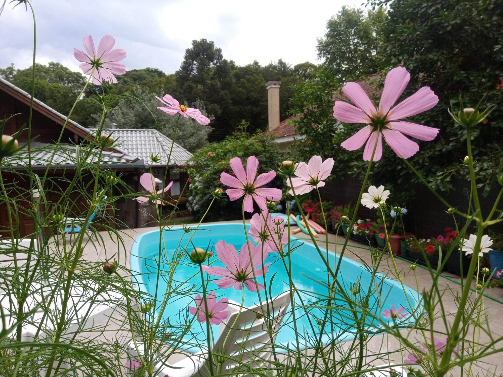 Chale Martinho Villa Gramado Eksteriør billede